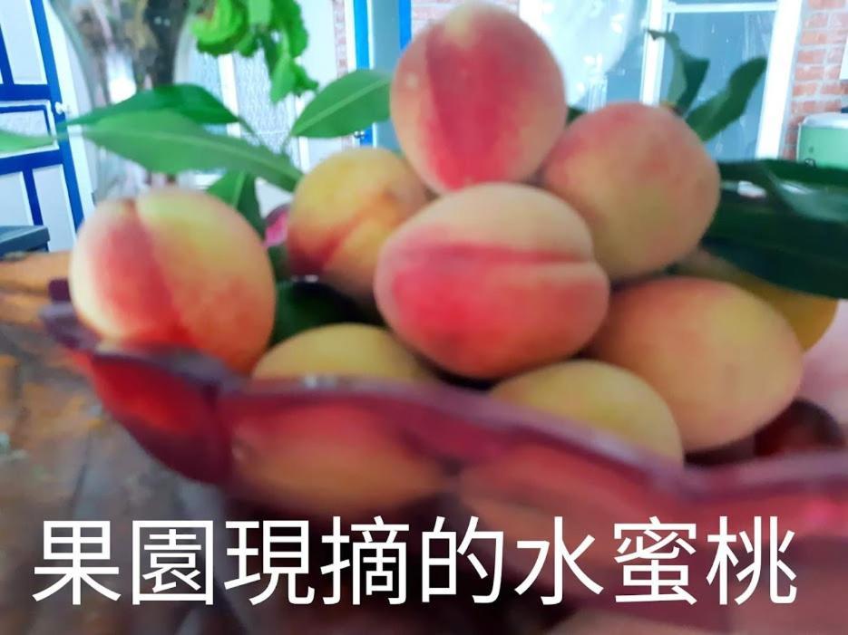 Taitung Linyuan B&B Donghe Luaran gambar