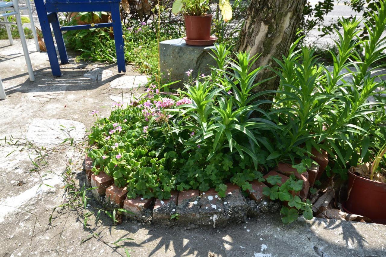 Taitung Linyuan B&B Donghe Luaran gambar